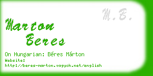 marton beres business card